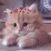 милые котики животные