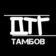 Тамбов Новости ДТГ
