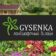 Ландшафтный дизайн | Gysenka.RU