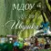 МДОУ д/с №19 «Ивушка» г. Буденновск