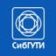 СибГУТИ