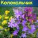 МКДОУ «Липковский д/с «Колокольчик «