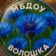 МБДОУ «Волошка» города Ноябрьска