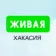 Живая Хакасия | Абакан