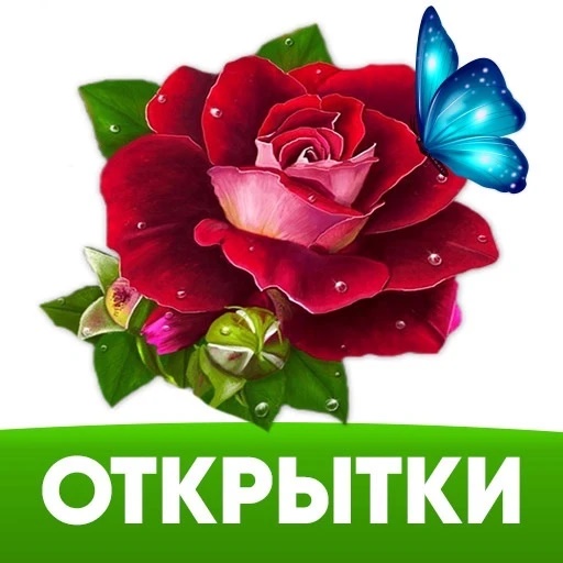 Рецепты по карману!