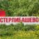 Стерлибашевские новости