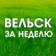 Вельск за неделю