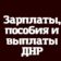Зарплаты Выплаты и пособия ДНР — РФ