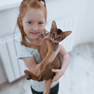 Абиссинская мама