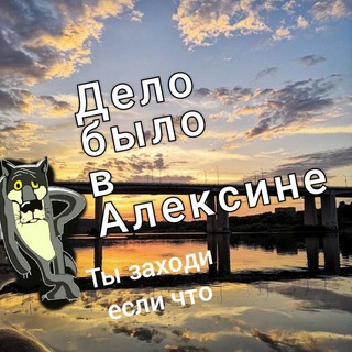 Дело было в Алексине