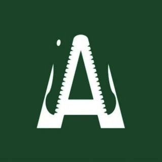 Аллигатор News