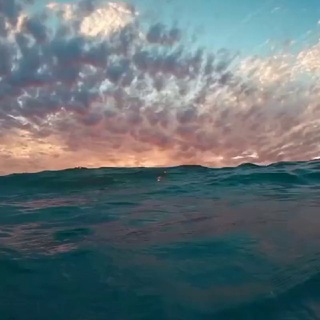 Аутентичное Движение и телесность