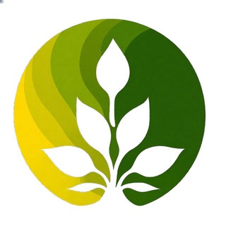 🌿Аюрведа как образ жизни