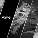 BAD POLYGON