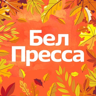 БелПресса | Новости Белгорода и Белгородской области
