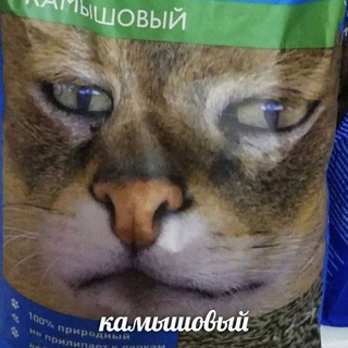 Камышовый