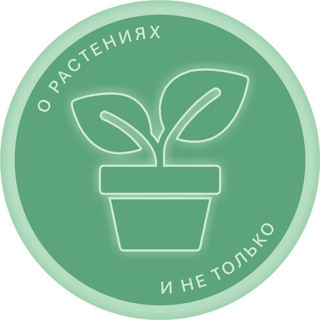 BogdaSHka 🍀о растениях и не только🍀