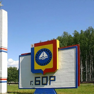 Борские инсайды