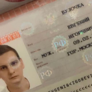 BIM с Булочкой