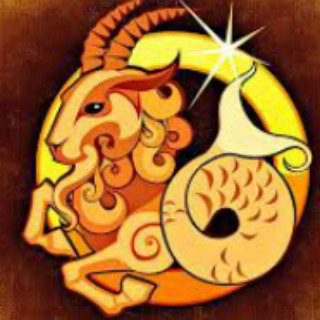 Козероги - Гороскоп - Capricorn