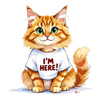 Кошачий Уголок