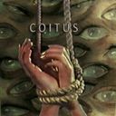 C O I T U S