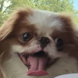 Kasper