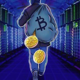 Crypto_ferm