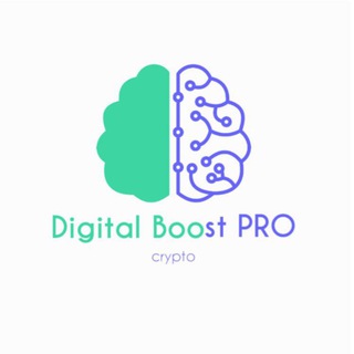 Digital Boost PRO