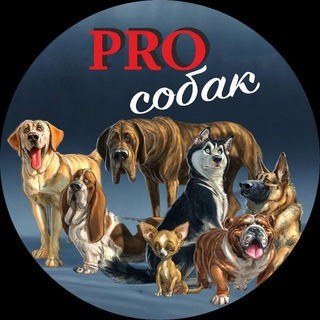 PRO собак