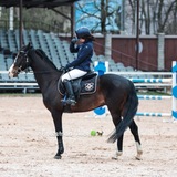 ~Equestrian Alice🍀🐎