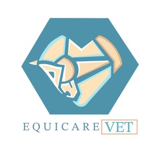 EquiCare Vet | ветеринария лошадей
