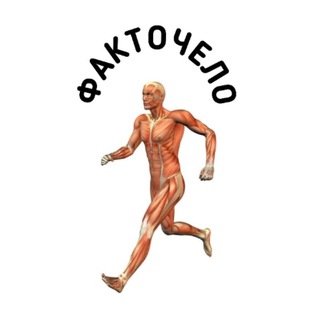 Факточело