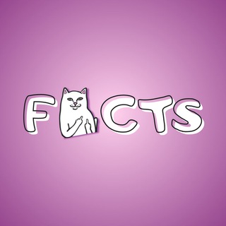 ФАК | Факты Анонимных Котиков