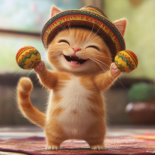 Funny Animals