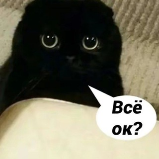 Химбио шутит