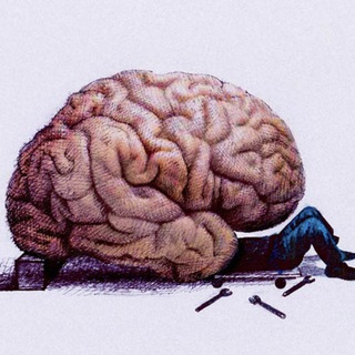 Психолог Екатерина Текина 🧠