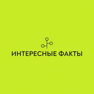 Интересные факты