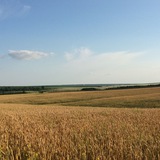 Губернские истории