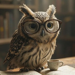 Книжная сова🦉