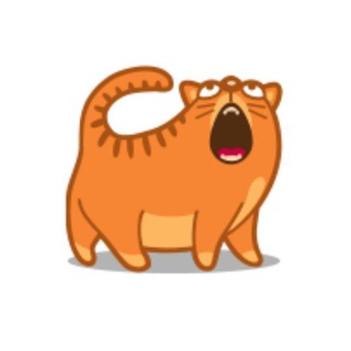 КОТЭ 🐱