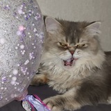 SMOKE