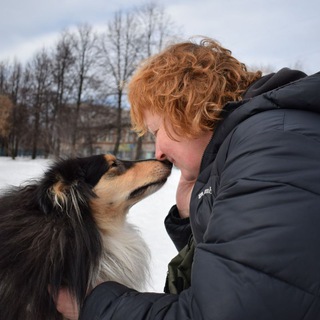 Собачья жизнь. Я и 3+ 🐶