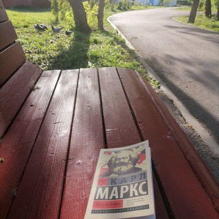 Жизнь и страдания русского марксиста