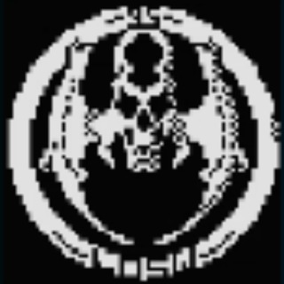 losw ( legion of steel warriors )