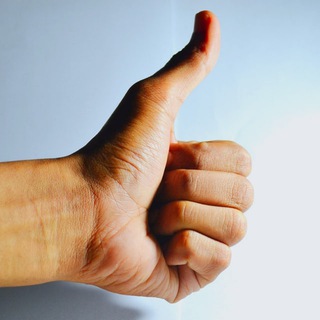 Любопытным быть не плохо!👍