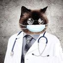Medalbum Medical photo album Самая свежая и полезная инфа по медицине
