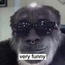 Memes