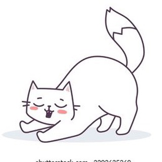 Мемы котиков ≽^•⩊•^≼