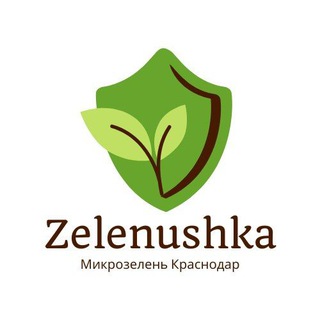 Zelenushka | Ферма Микрозелени в Краснодаре | Мария Кириленко